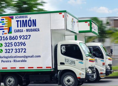 Timon carga y mudanza servicios